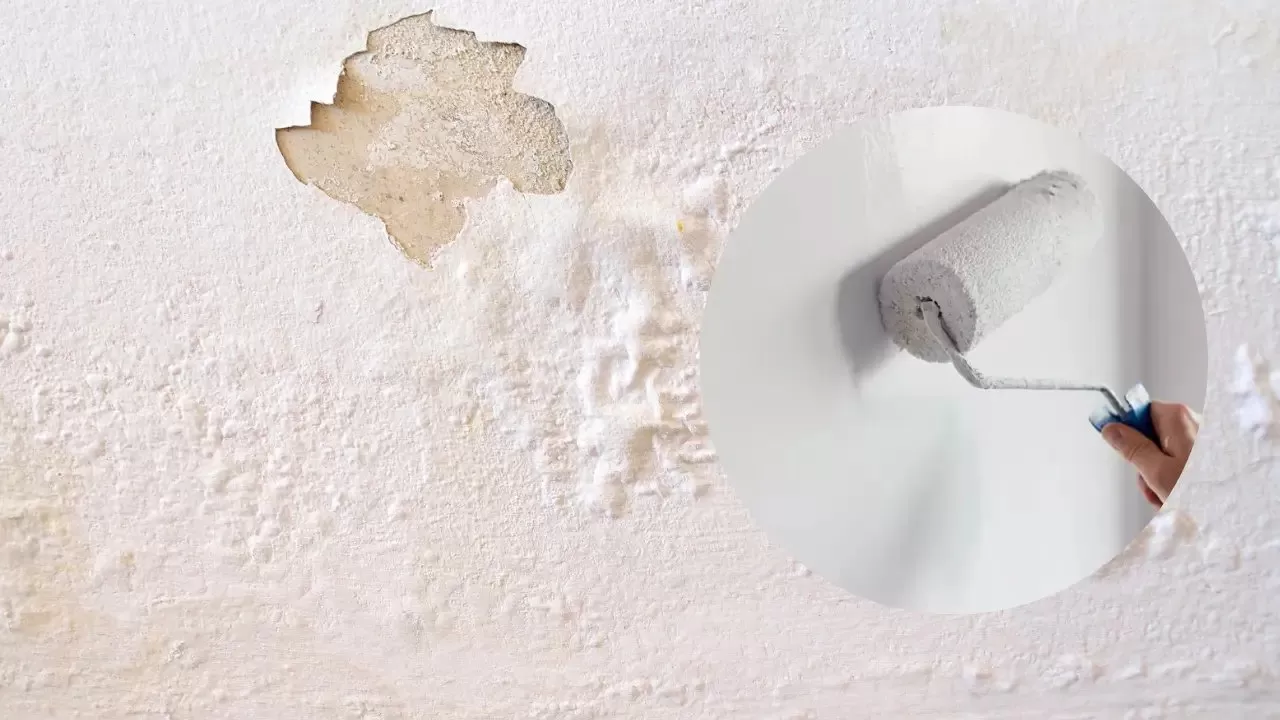 هل الطلاءات المضادة للرطوبة فعالة حقًا؟