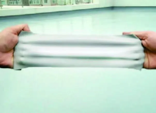 MS-Polymer-Wasserisolierung Anwendungsvisualisierung 2